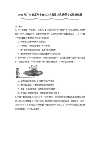 2025届广东省惠州市高三上学期第三次调研考试物理试题