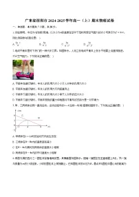广东省深圳市2024-2025学年高一（上）期末物理试卷