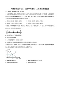 河南省许昌市2024-2025学年高二（上）期末物理试卷