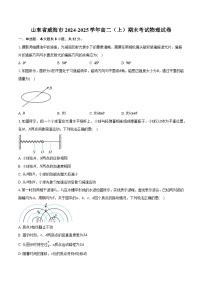 山东省威海市2024-2025学年高二（上）期末考试物理试卷