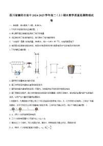 四川省德阳市高中2024-2025学年高二（上）期末教学质量监测物理试卷