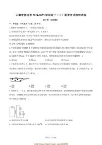 2024～2025学年云南省临沧市高三上期末考试物理试卷(含解析)