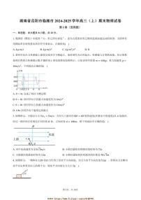 2024～2025学年湖南省岳阳市临湘市高三上期末物理试卷(含解析)