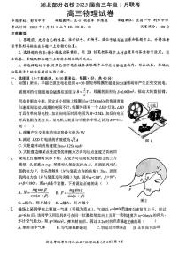 湖北部分名校2025届高三上学期1月联考物理试卷（含答案）