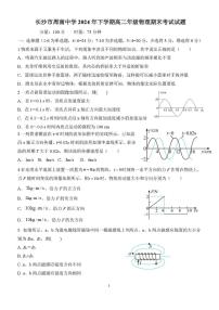 湖南周南中学2024-2025学年高二上学期期末考试物理试题（含答案）