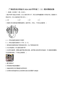 广东省茂名市信宜市2024-2025学年高二（上）期末物理试卷