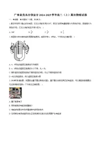 广东省茂名市信宜市2024-2025学年高二（上）期末物理试卷