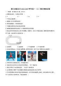 浙江省丽水市2024-2025学年高一（上）期末物理试卷