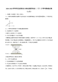 河北省琢名小渔名校联考2024-2025学年高三下学期开学考物理试卷
