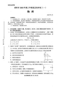 【贵州卷】贵州省贵阳市2025年高三年级下学期2月适应性考试（一）（贵阳一模）物理试卷+答案