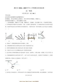 2024～2025学年河南省漯河市高一上期末质量监测物理试卷(含答案)