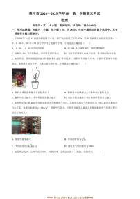 2024～2025学年广东省惠州市高一上期末考试物理试卷(含答案)