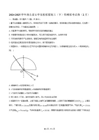 湖北省云学名校联盟2024-2025学年高三下学期2月联考物理试题（Word版附解析）