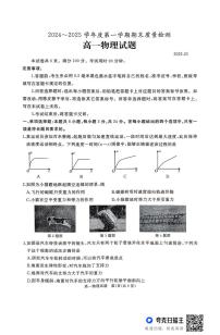 山东省枣庄市台儿庄区等2地2024-2025学年高一上学期1月期末考试物理试卷（PDF版附答案）