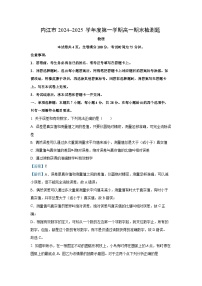 四川省内江市2024-2025学年高一(上)期末检测物理试卷（解析版）