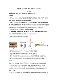 广东省梅州市2024-2025学年高一(上)1月期末物理试卷（解析版）