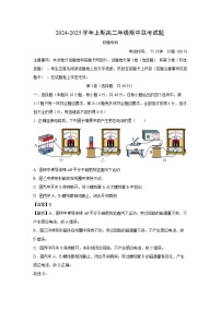 河南省郑州市2024-2025学年高二(上)期中联考物理试卷（解析版）