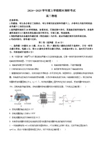 河南省三门峡市2024-2025学年高二上学期1月期末物理试题（原卷版+解析版）