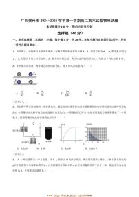 2024～2025学年广西贺州市高二上期末物理试卷(含答案)