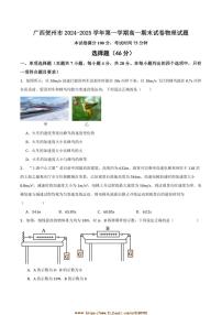 2024～2025学年广西贺州市高一上期末物理试卷(含答案)