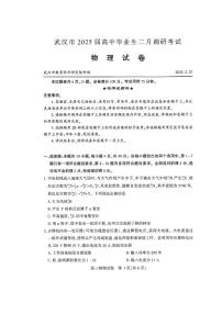 湖北省武汉市2025届高三二调（二模） 高中毕业生二月调研考试 物理试题及答案