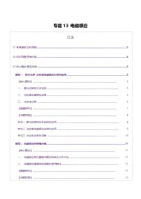 专题13 电磁感应（讲义）-高考物理二轮复习讲练测（新高考通用）