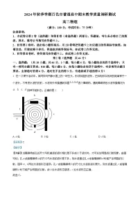 广西壮族自治区百色市2024-2025学年高二上学期1月期末考试物理试卷（Word版附解析）
