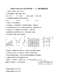 北京市丰台区2024-2025学年高一（上）期末物理试卷-【含解析】