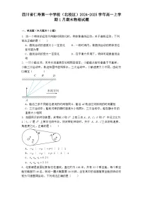 四川省仁寿第一中学校（北校区）2024-2025学年高一上学期1月期末物理试题【含解析】