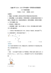 2024~2025学年贵州省六盘水市高一上学期期末考试物理试卷（解析版）