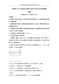 2024~2025学年广西壮族自治区河池市高三上学期1月期末物理试卷（解析版）