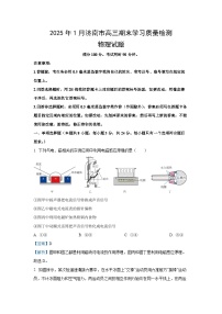 2024~2025学年山东省济南市高三上学期1月期末学习质量检测物理试卷（解析版）