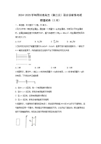 2024~2025学年四川省蓉城名校联盟高三下学期第二次联合诊断考试物理试卷（解析版）