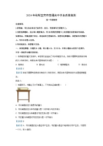 2024~2025学年四川省宜宾市高一上学期期末学业质量监测物理试卷（解析版）