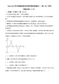 湖南省新高考教学教研联盟2024-2025学年高三下学期3月第一次联考物理试卷（原卷版+解析版）