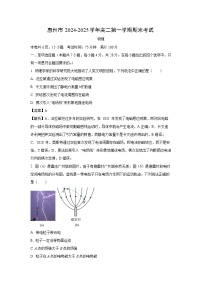 广东省惠州市2024-2025学年高二上学期期末物理试卷（解析版）