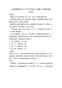 山东省潍坊市2024-2025学年高二上学期1月期末物理试卷（解析版）