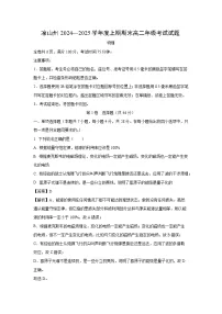 四川省凉山州2024-2025学年高二上学期期末物理试卷（解析版）