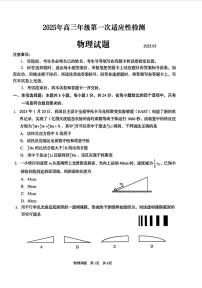 山东省青岛市2025年高三年级下学期高考第一次适应性检测物理试题（无答案）