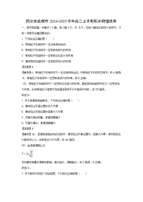 2024-2025学年四川省成都市高二上学期期末物理试卷（解析版）
