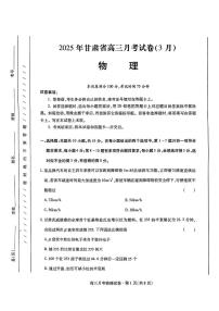 2025届甘肃高中高考模拟一诊物理试卷+答案