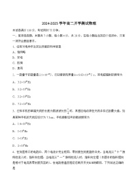 河南省名校大联考2024-2025学年高二下学期开学测试物理试卷（Word版附解析）