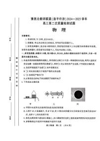 2025年豫西北教育联盟（洛平许济）高三下学期3月物理试题
