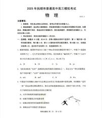 辽宁省抚顺市2024-2025学年高三下学期高考模拟考试-物理试题+答案