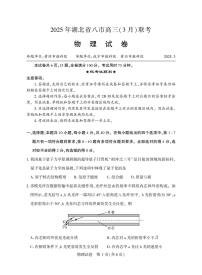 湖北省八市2025届高三下学期3月联考-物理试题+答案