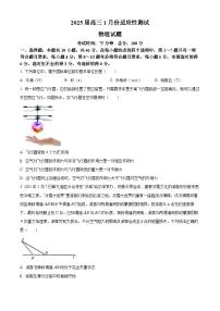 黑龙江省哈尔滨市重点三校（一中、六中、九中）2024-2025学年高三上学期1月期末联考物理试题（原卷版+解析版）