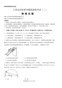 2025届八省联考高三适应性模拟演练二-物理试题（含答案）
