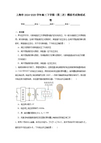 上海市2024-2025学年高三下学期（第二次）模拟考试物理试卷