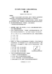 2024年四川成都蓉城名校联盟高三第一次联合性诊断性考试 物理试题（含答案）