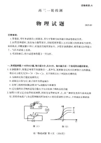 山东省泰安市2025届高三一轮检测（泰安一模）物理试题及答案
